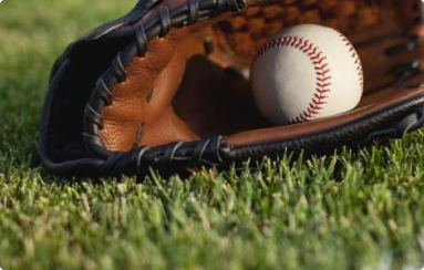 What can you use to rub on your baseball glove to break it in?